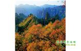 長沙往返張家界、天子山、寶峰湖/黃龍洞三日游