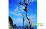 湘西之旅：張家界、天子山、寶峰湖/黃龍洞、鳳凰古城、猛洞河漂流、天門山六日游