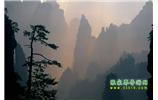 張家界國家森林公園、寶峰湖/黃龍洞、鳳凰古城、三峽八日游