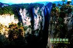 【純玩拼團(tuán)線路6】張家界、黃龍洞、天門山、天子山三晚四日游