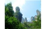 【純玩拼團線路 張家界出發(fā)A2線】張家界、袁家界、天子山、金鞭溪、鳳凰古城2晚3日游